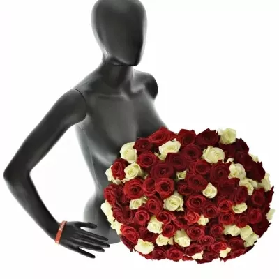 Kytice 100 míchaných růží CHRISTELLE 55cm
