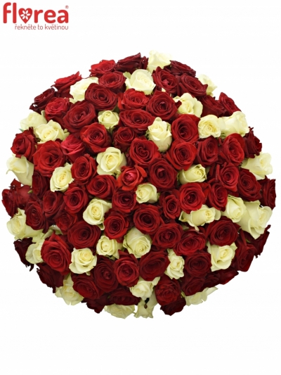 Kytica 100 miešaných ruží CHRISTELLE 50cm
