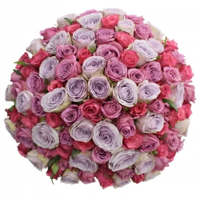Kytice 100 míchaných růží DARIELLA 35cm