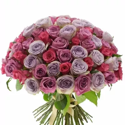 Kytice 100 míchaných růží DARIELLA 35cm