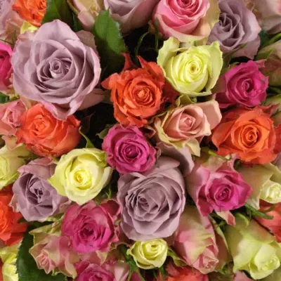 Kytice 100 míchaných růží DEA 50cm
