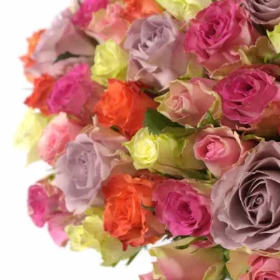 Kytice 100 míchaných růží DEA 50cm