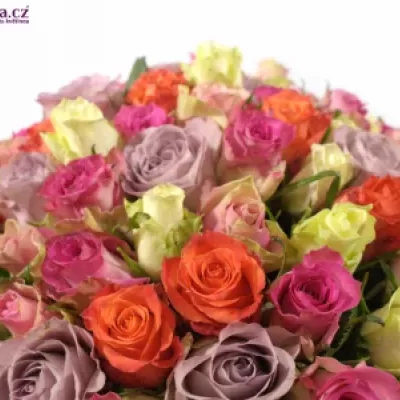 Kytice 100 míchaných růží DEA 50cm