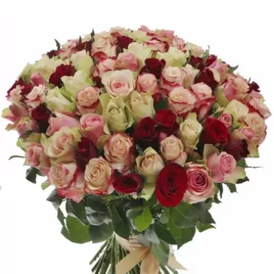 Kytice 100 míchaných růží EBIGALE 50cm