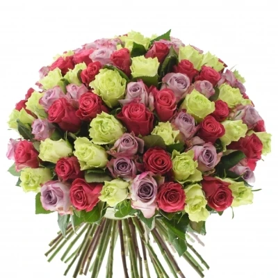 Kytice 100 míchaných růží FRANCESCA 40cm