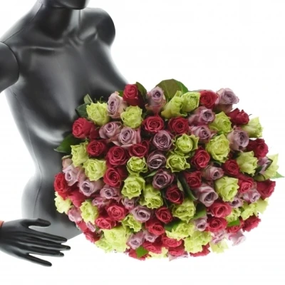 Kytice 100 míchaných růží FRANCESCA 40cm