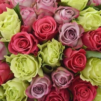 Kytice 100 míchaných růží FRANCESCA 40cm