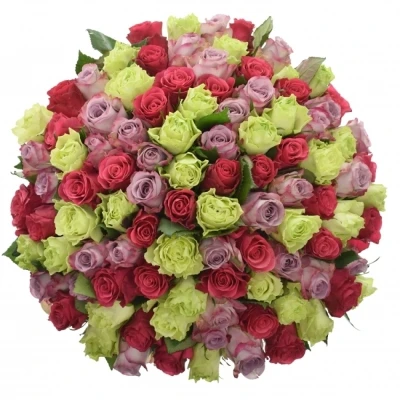 Kytice 100 míchaných růží FRANCESCA 40cm