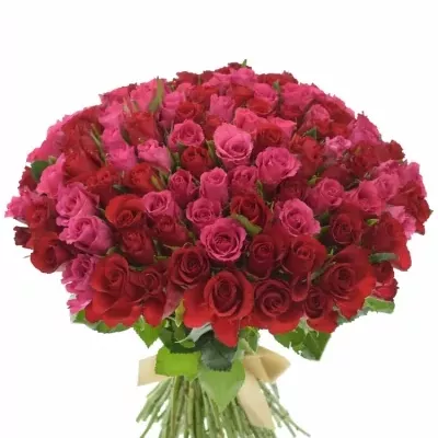 Kytice 100 míchaných růží GRACIANA 35cm