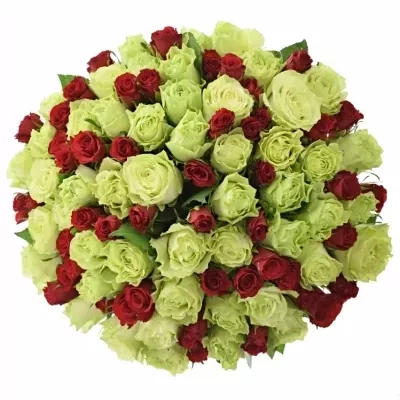 Míchaná kytice 100 vícebarevných růží GRAZYNA 45 cm