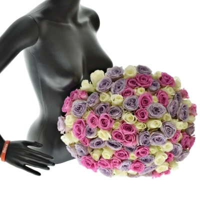 Kytice 100 míchaných růží LIGHT LORRIESS