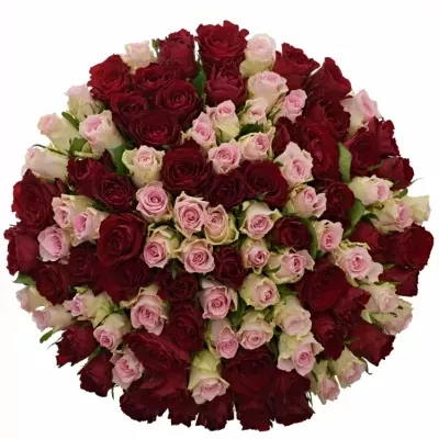 Kytice 100 míchaných růží MADAM BISOU 40cm
