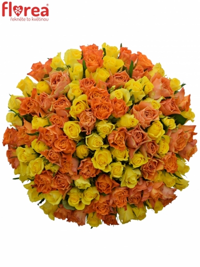 Kytica 100 miešaných ruží MARYWALK 50cm
