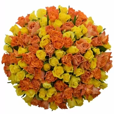 100 míchaných vícebarevných růží MARYWALK 70 cm v kytici