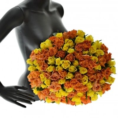 Kytice 100 míchaných růží MARYWALK 50cm