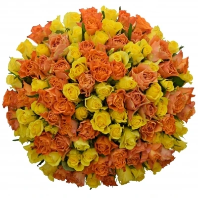 Kytice 100 míchaných růží MARYWALK 50cm