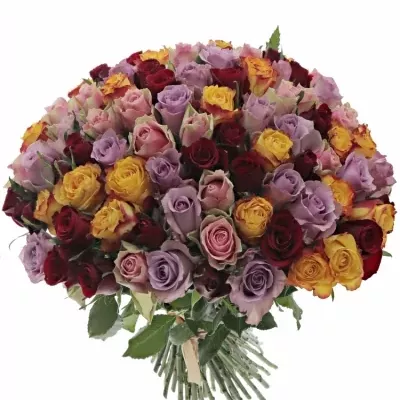Kytice 100 míchaných růží MIRIAM 50cm