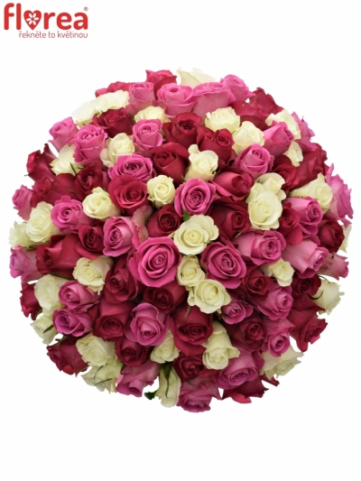 Kytica 100 miešaných ruží PURPLE DANCE 40cm