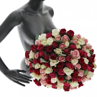 Kytice 100 míchaných růží RADWAN 40cm