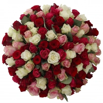 Kytice 100 míchaných růží RADWAN 40cm