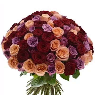 Kytice 100 míchaných růží RED LADY ORLEA 50cm