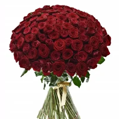 Kytica 100 miešaných ruží REDOS 90cm
