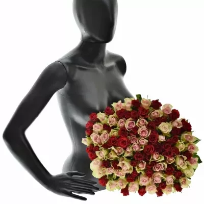 Kytica 100 miešaných ruží ROSEBELLINE 50cm