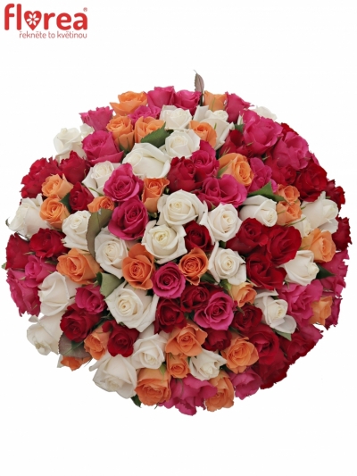 Kytice 100 míchaných růží SEVASTIANOS 50cm