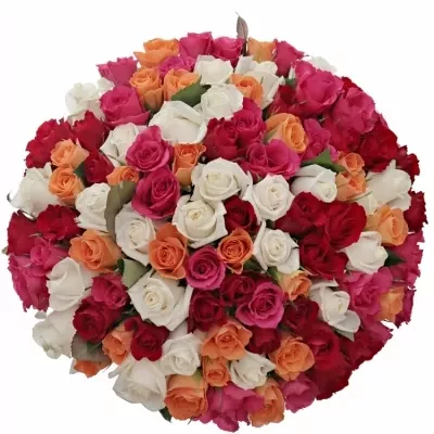 Kytice 100 míchaných růží SEVASTIANOS 35cm
