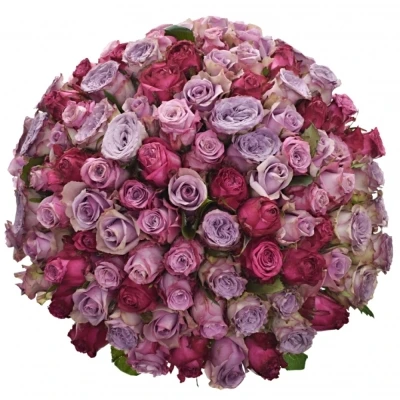 Kytice 100 míchaných růží SIDONIA 