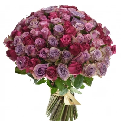 Kytice 100 míchaných růží SIDONIA 