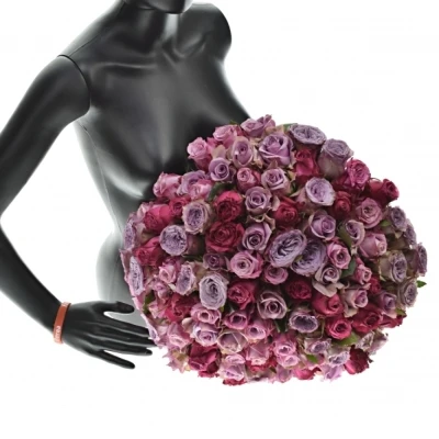 Kytice 100 míchaných růží SIDONIA 