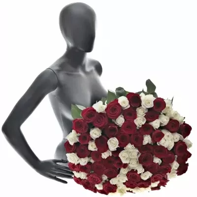 Kytice 100 míchaných růží TAMARA 90cm