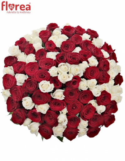 Kytice 100 míchaných růží TAMARA 50cm