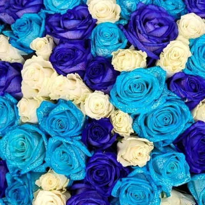 Kytice 100 modrých růží ACANTHA