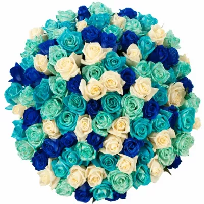 Kytice 100 modrých růží ALDARA 60cm