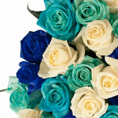 Kytice 100 modrých růží ALDARA