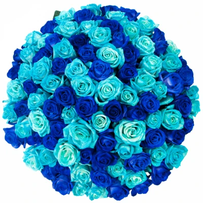 Kytice 100 modrých růží BLUE ADRIANA 