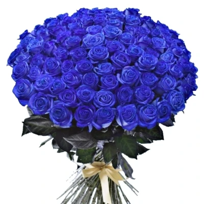 Kytice 100 modrých růží Blue Vendela