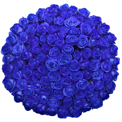 Kytice 100 modrých růží Blue Vendela