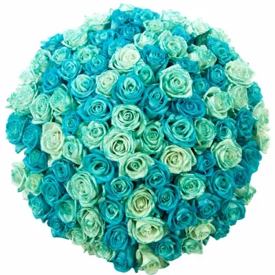 Kytice 100 modrých růží ICE BLUE ADRIANA