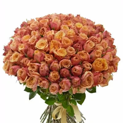 Kytice 100 oranžovočervených růží ALTAMODA 60cm