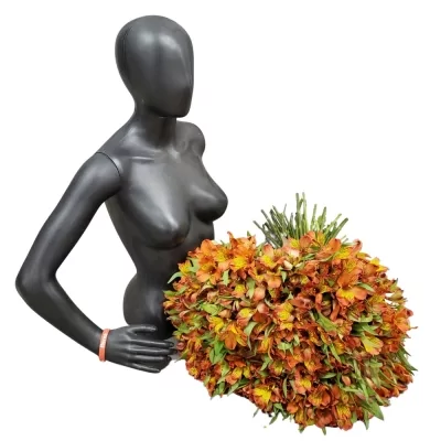 Kytice 100 oranžových alstromérií HERTA