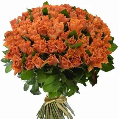 Kytice 100 oranžových růží ARANCIO 40cm