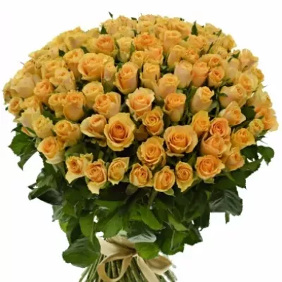 Kytice 100 oranžových růží CANDID PROPHYTA 50cm