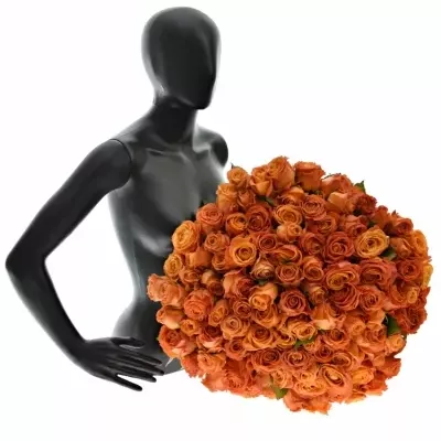 Kytice 100 oranžových růží CLARENCE+ 60