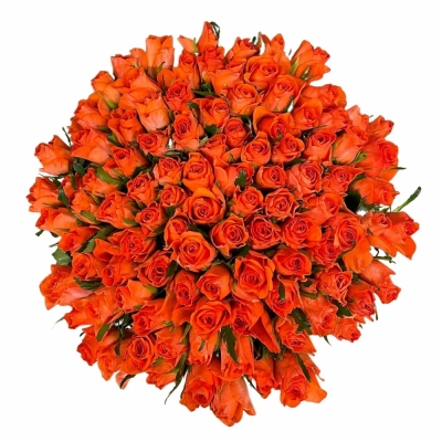 100 jednodruhových oranžových růží COMANCHE 70 cm v kytici
