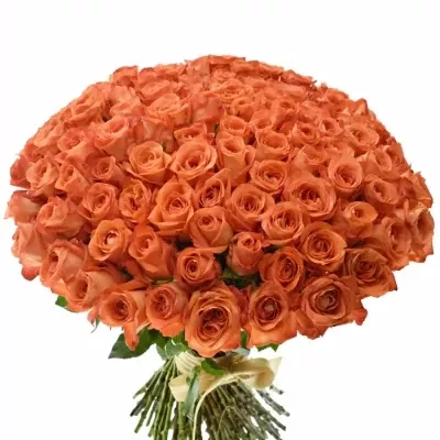 Kytice 100 oranžových růží COPACABANA 50cm