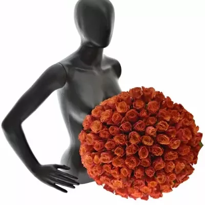 Kytice 100 oranžových růží DEVOTED 50cm