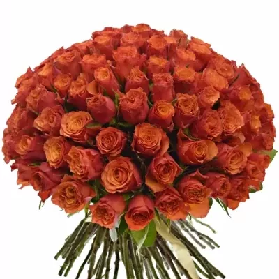Kytice 100 oranžových růží DEVOTED 50cm